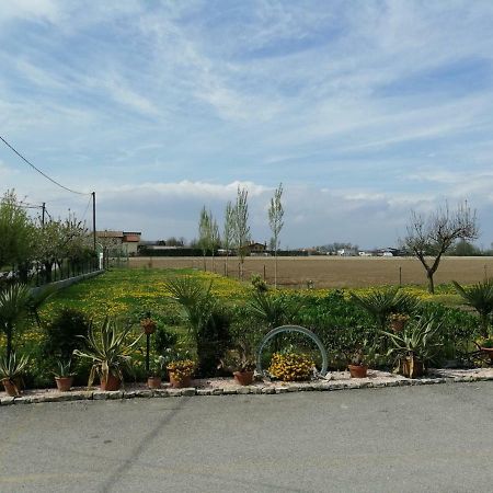 La Carlottina Villa Codevigo Exterior foto